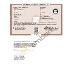 OFA eye certificate
