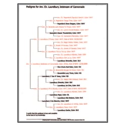 Sire’s Genealogy Tree