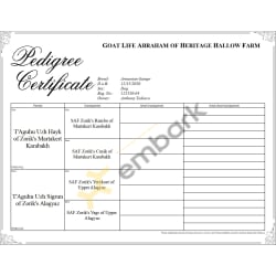 Pedigree Certificate