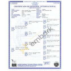 FCPR International Pedigree