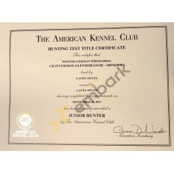Junior Hunter Certificate