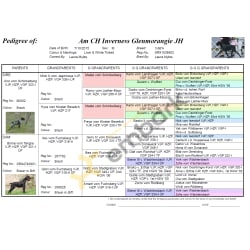 Breedmate Pedigree