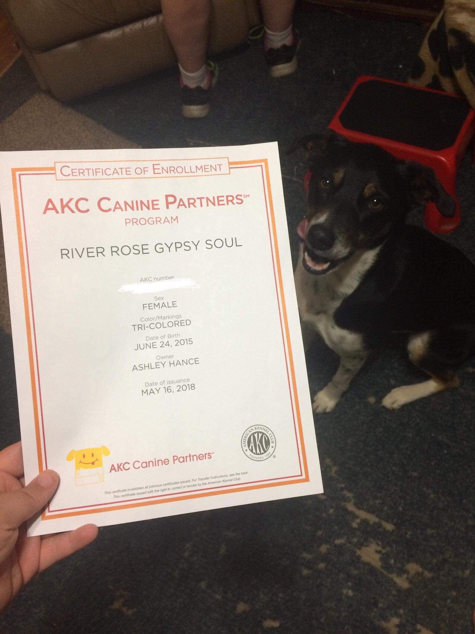 Akc canine sale partners program