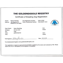 Certificate of Breeding Dog Registration 