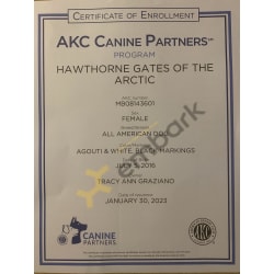 AKC Canine Partners Program