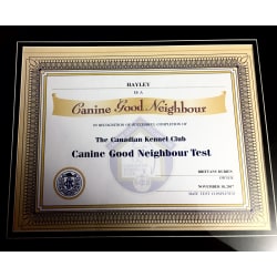Certificate of completion of the Canine Good Neighbor (CGN) test