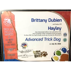Certificate for Advanced Trick Dog with Do More With Your Dog 