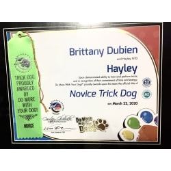 Certificate for Novice Trick Dog from Do More With Your Dog