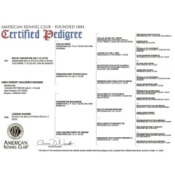 RIGGINS' CERTIFIED PEDIGREE