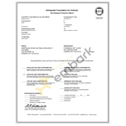 Orthopedic foundation for animals screeing