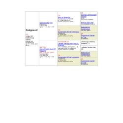Tinker's Pedigree