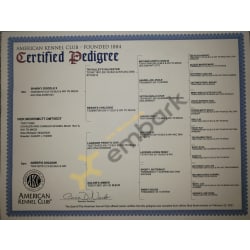 AKC Certified Pedigree