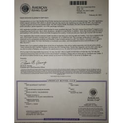 AKC Registration Certificate