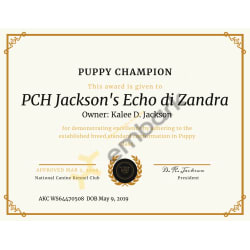 National Canine Kennel Club Puppy Champion Award.