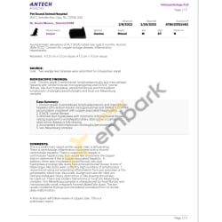 Liver Biopsy Report 2-20-23 pg.1