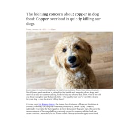 Informative Article from Cornell Vet School about Copper Storage Disease/Copper Associated Hepathopy and the Alarming Amounts of Copper Added to Commercial Dog Foods