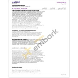 Liver Biopsy Report 2-20-23 pg.3