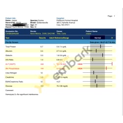 Elevated Liver Enzymes 9/27/22