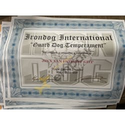 Irondog GDT