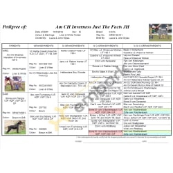 Breedmate Pedigree