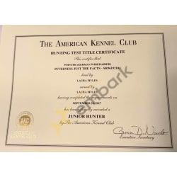 Junior Hunter Certificate