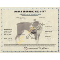 McNab Shepherd Registry