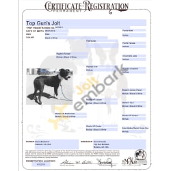 Registered with The McNab Stockdog Foundation
