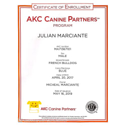 Certificate of Enrollment 