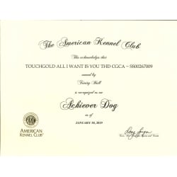 AKC Achiever Dog Certificate