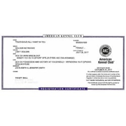 AKC Certificate