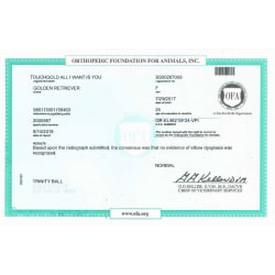 OFA Certificate - Elbows