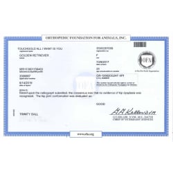 OFA Certificate - Hips
