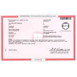 OFA Certificate - Heart