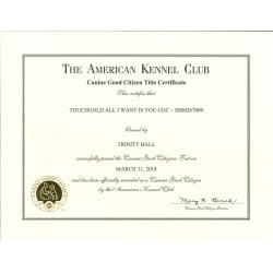 AKC CGC Title Certificate