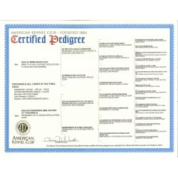 AKC Certified Pedigree