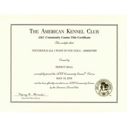 AKC CGCA Title Certificate