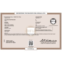 OFA Certificate - Eyes