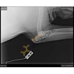 OFA X-ray elbow L