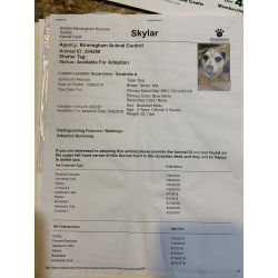 Adoption papers