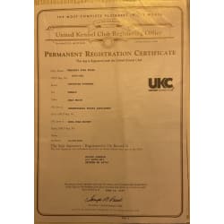 UKC Registration 