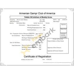 AGCA Certificate of Registration