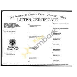 Litter Certificate