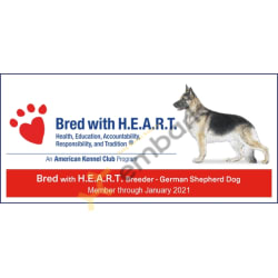 We are recognised by the AKC as Breeders with H.E.A.R.T. The first step to finding your perfect puppy is to find a breeder you trust, and we make that easy: Just look for breeders who are members of our AKC Bred with H.E.A.R.T. program at Minimum but we go way above and beyond their standards as well
            HEALTH
            EDUCATION
            ACCOUNTABILITY
            RESPONSIBILITY
            TRADITION