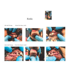 Base Narrow Canines: Ball Therapy Case Study