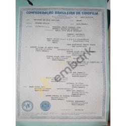 CBKC Pedigree