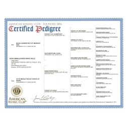 AKC Registration