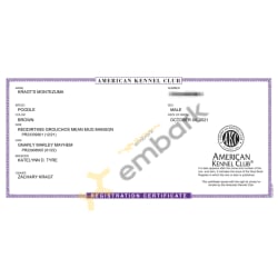 A.K.C. Registration