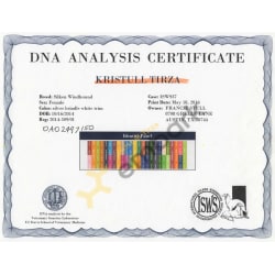 DNA parentage verification