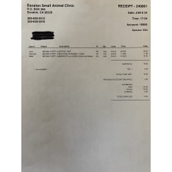 2nd Vaccines and Rabies 
