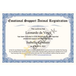 ESA Certificate